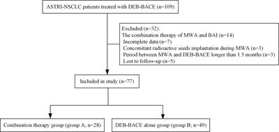 Drug-Eluting Bead Bronchial Arterial Chemoembolization With and Without Microwave Ablation for the Treatment of Advanced and Standard Treatment-Refractory/Ineligible Non-Small Cell Lung Cancer: A Comparative Study